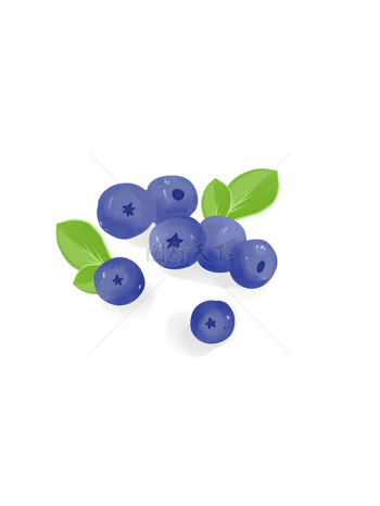 蓝莓手绘果子