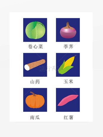 蔬菜矢量图卷心菜荸荠山药玉米南瓜红薯