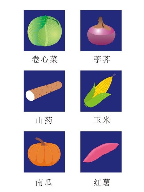 蔬菜矢量图卷心菜荸荠山药玉米南瓜红薯