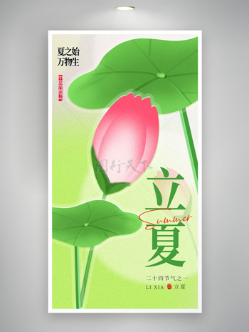 含苞待放的粉色荷花苞绿色背景二十四节气立夏海报