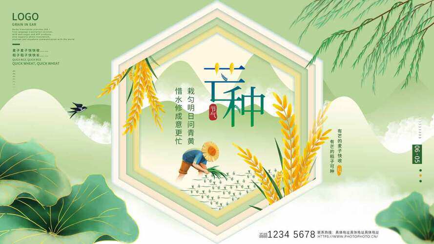 清新简约绿色主题农民卡通插画芒种节气海报